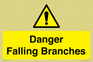 Danger Falling Branches